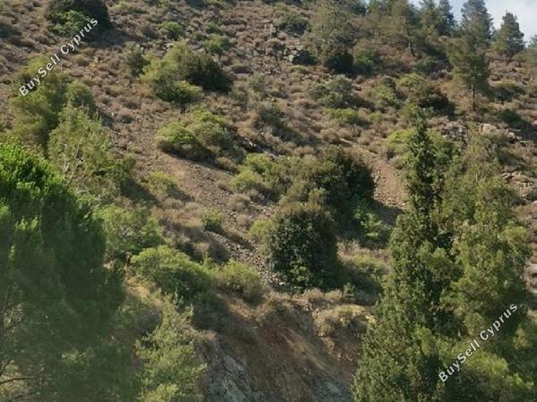land for sale agios epifanios oreinis nicosia 1751849 image 4794439