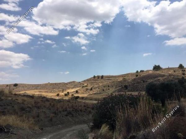 land for sale klirou nicosia 945849 image 13833321