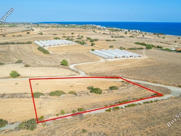 land for sale maroni larnaca 8675849 image 16062494