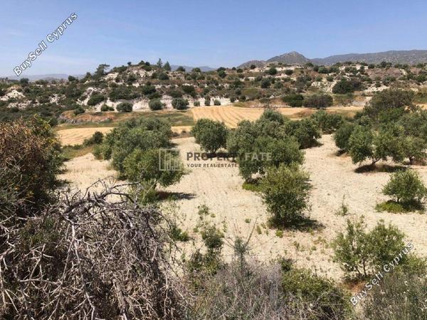 land for sale monagroulli limassol 1924849 image 12701249