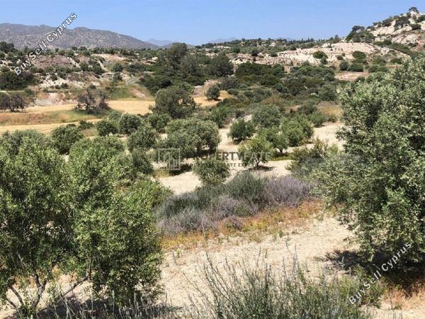 land for sale monagroulli limassol 1924849 image 12701251