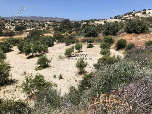 land for sale monagroulli limassol 1924849 image 12701253