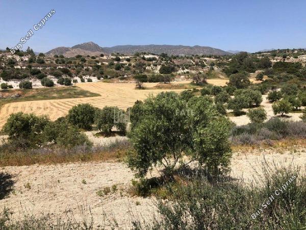 land for sale monagroulli limassol 1924849 image 12701256
