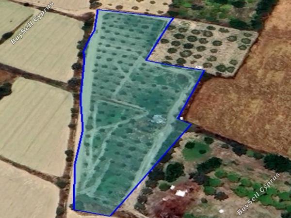 plot for sale pera orinis nicosia 1240849 image 16181688