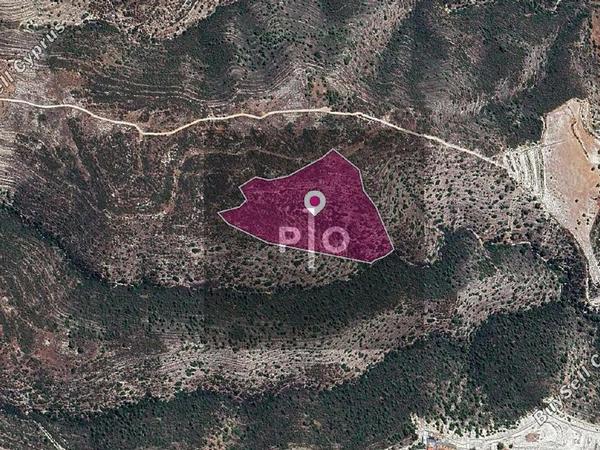 land for sale agios georgios silikou limassol 8274949 image 15156524