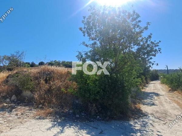 land for sale koili paphos 1307949 image 14831267