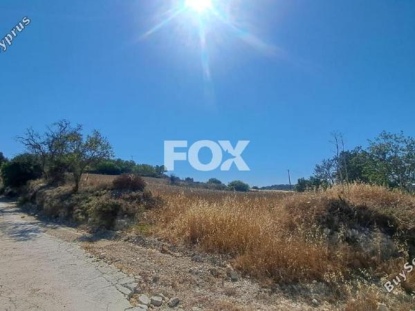 land for sale koili paphos 1307949 image 14831271