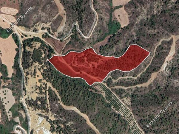 land for sale pelathousa paphos 945949 image 15598614