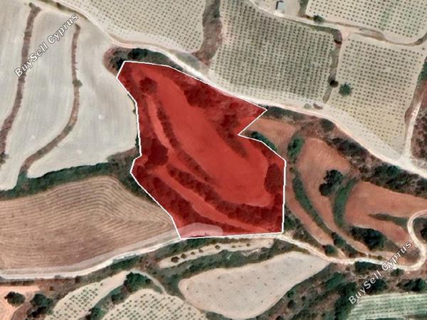 land for sale polemi paphos 890949 image 15599359
