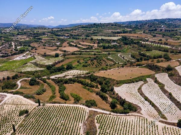 land for sale polemi paphos 890949 image 15599363