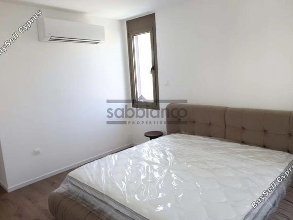 3 bedroom apartment for rent agios dometios nicosia 8749059 image 16471411