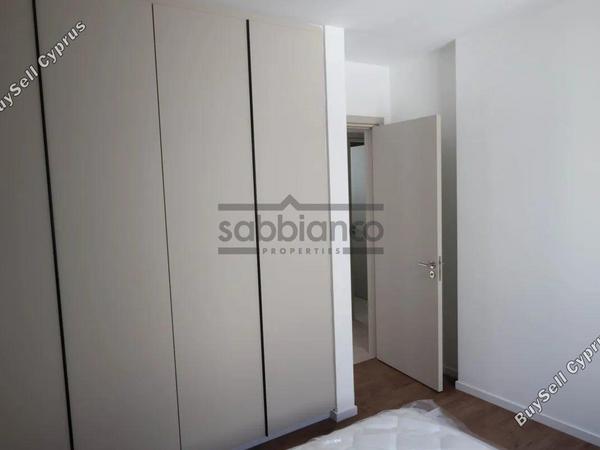 3 bedroom apartment for rent agios dometios nicosia 8749059 image 16471412