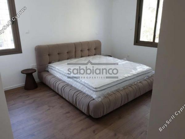 3 bedroom apartment for rent agios dometios nicosia 8749059 image 16471415