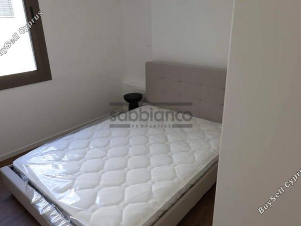 3 bedroom apartment for rent agios dometios nicosia 8749059 image 16471416