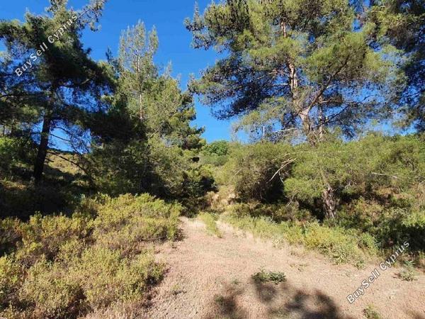 land for sale pera pedi limassol 8659059 image 16530452