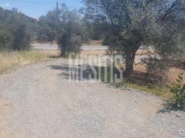 plot for sale kornos larnaca 7940059 image 11310301