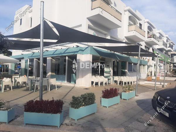 studio shop for rent kato paphos paphos 7813059 image 12701978