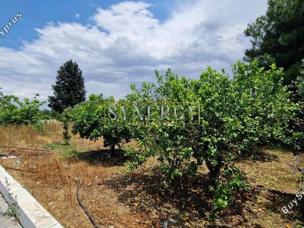 3 bedroom detached house for sale dali nicosia 1883159 image 16749607