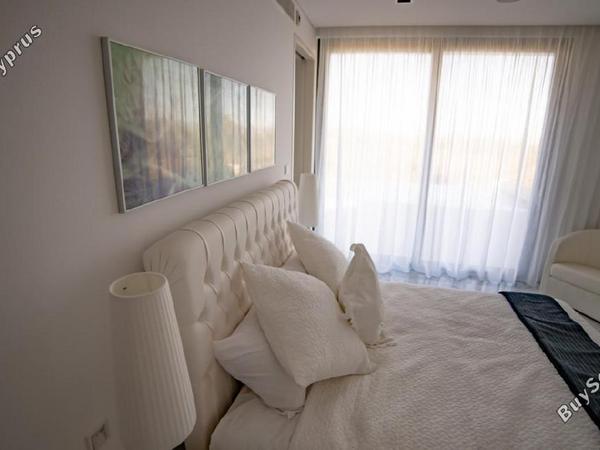 3 bedroom detached house for sale tsada paphos 1680159 image 16446051