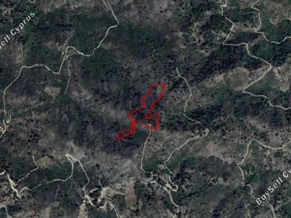 land for sale platanistasa nicosia 830159 image 15664121