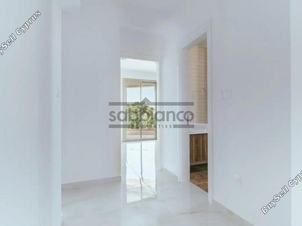3 bedroom apartment for sale geroskipou paphos 8752259 image 16500449