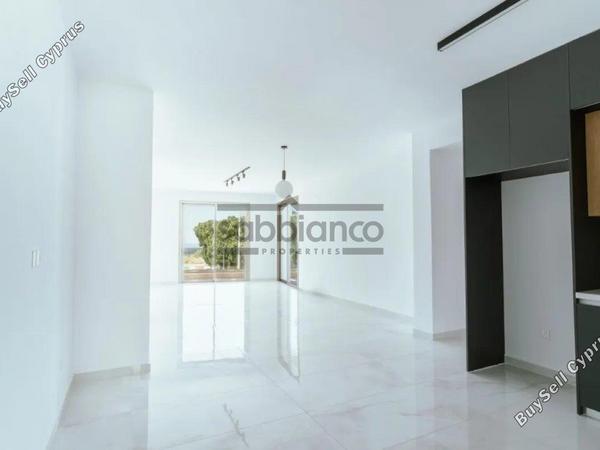 3 bedroom apartment for sale geroskipou paphos 8752259 image 16500471