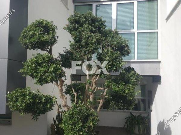 3 bedroom detached house for sale episkopi lemesou limassol 1146259 image 5501666