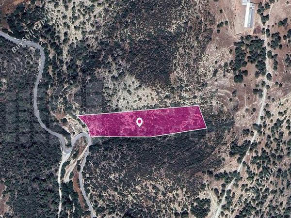 land for sale agios therapon limassol 7872259 image 11384667