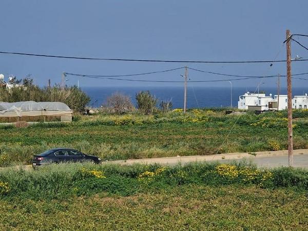 4 bedroom detached house for sale kapparis famagusta 1791359 image 15403525