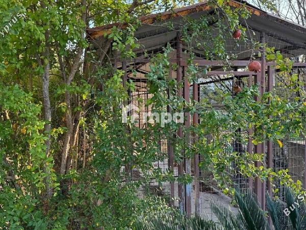 5 bedroom detached house for sale kornos larnaca 1730359 image 5557648
