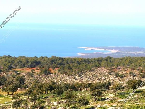 land for sale peyia paphos 621359 image 307619