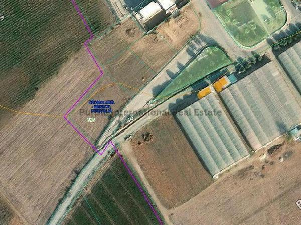 plot for sale pervolia larnaca 8827359 image 16977010