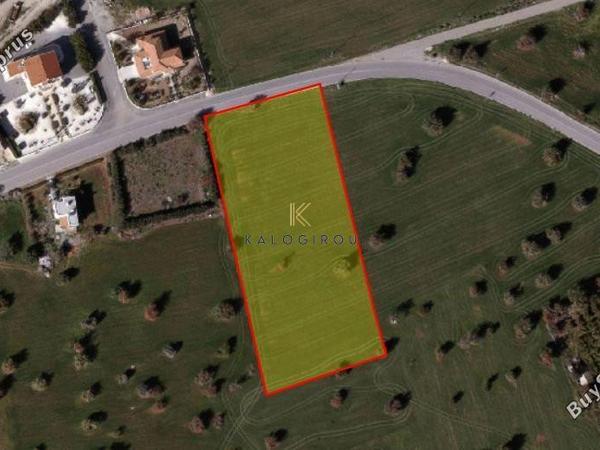 land for sale mazotos larnaca 1635459 image 5708534