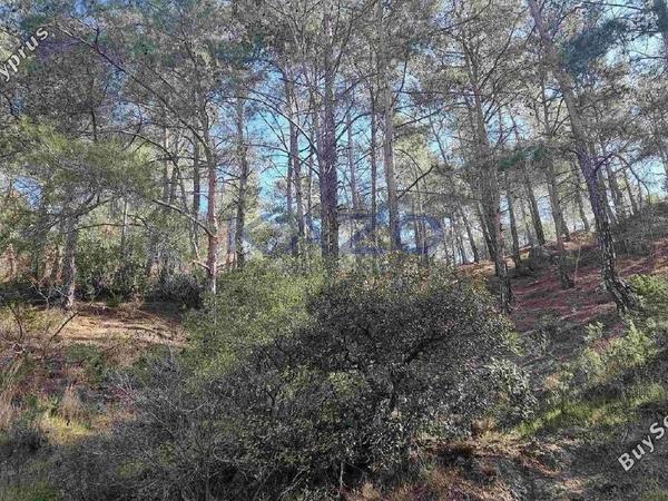 land for sale moniatis limassol 1850459 image 6686642