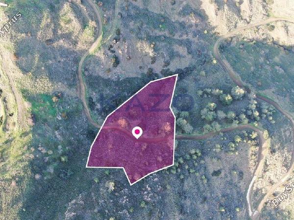 land for sale pigenia nicosia 1736459 image 5728933