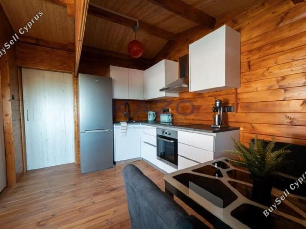 studio apartment building for sale lofou limassol 1737459 image 15128115