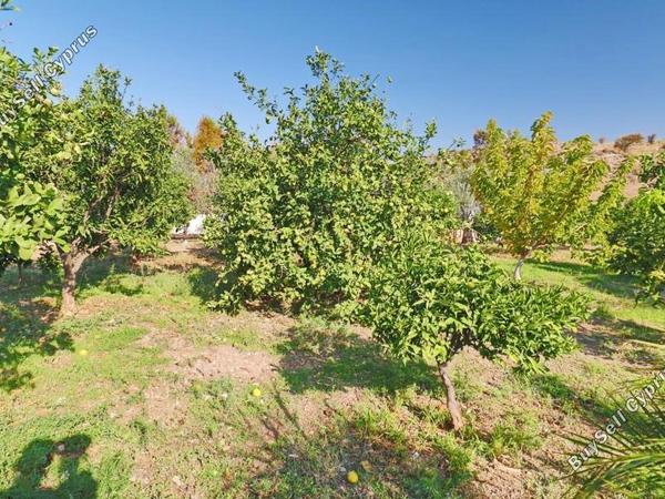 2 bedroom bungalow for sale choletria paphos 7737559 image 10191872