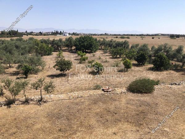 4 bedroom detached house for sale pera orinis nicosia 1521559 image 12682897