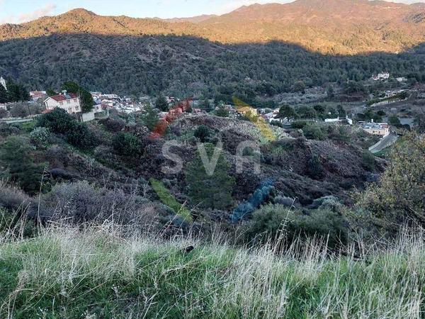 land for sale agios mamas limassol 1583659 image 9850788