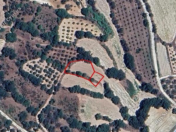 land for sale amargeti paphos 1397659 image 2808820