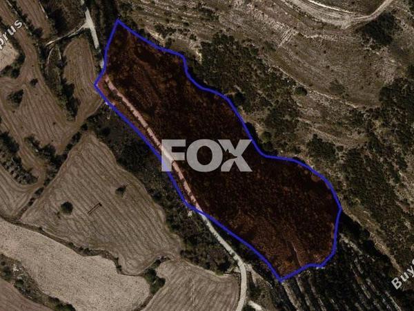land for sale tsada paphos 1270659 image 5582039