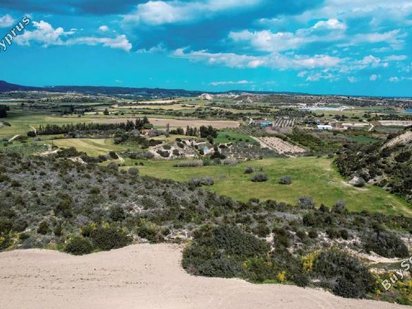land for sale agios theodoros larnacas larnaca 957759 image 5597756