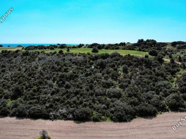 land for sale agios theodoros larnacas larnaca 957759 image 5597764