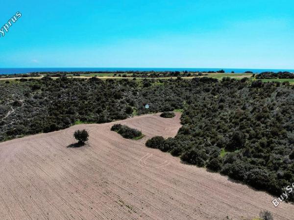 land for sale agios theodoros larnacas larnaca 957759 image 5597768