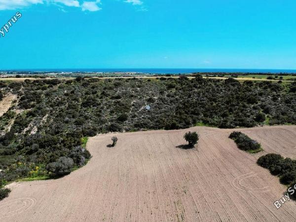 land for sale agios theodoros larnacas larnaca 957759 image 5597771