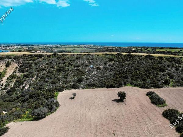 land for sale agios theodoros larnacas larnaca 957759 image 5597776