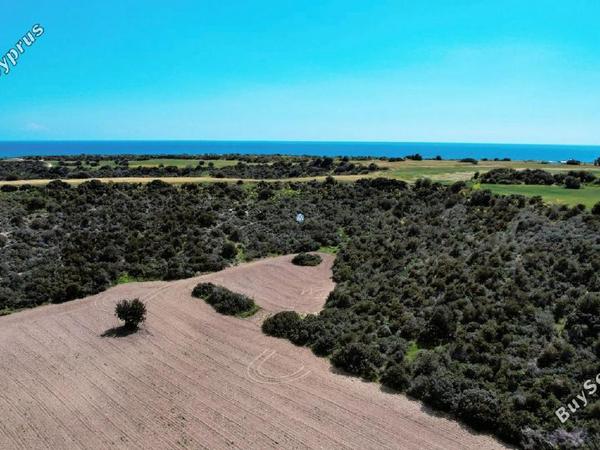 land for sale agios theodoros larnacas larnaca 957759 image 5597779