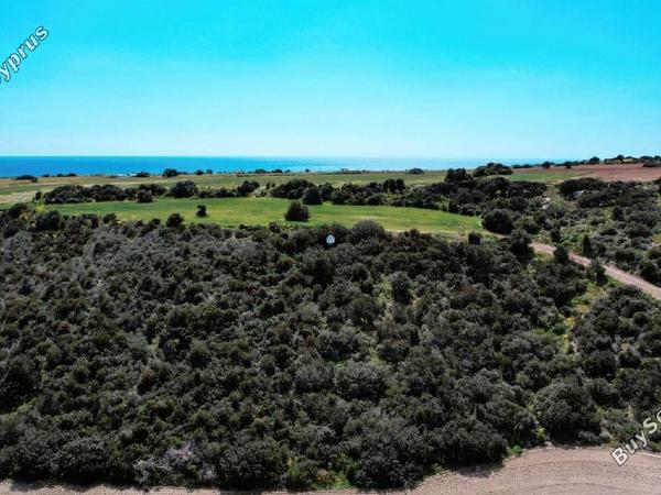 land for sale agios theodoros larnacas larnaca 957759 image 5597783