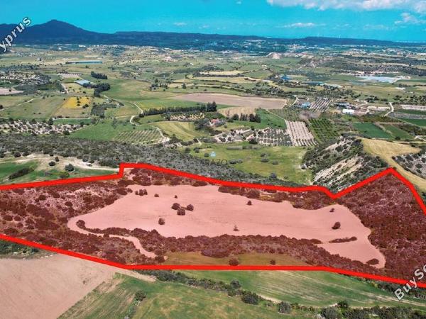 land for sale agios theodoros larnacas larnaca 957759 image 5597792