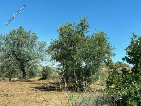 land for sale analiontas nicosia 1210759 image 15603791